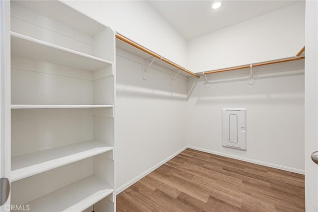 7305 Scrivia Ct, Bakersfield, CA 93311 - walk in closet with wood finished floors