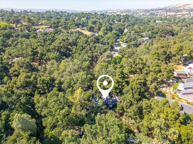 5375 Rosario Ave, Atascadero, CA 93422 - aerial view of property's location featuring a forest