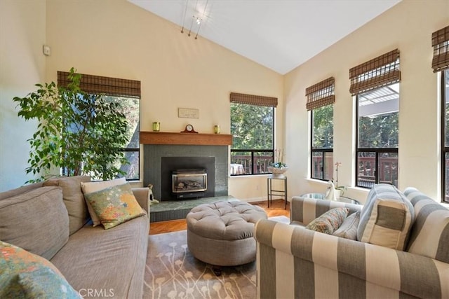 5375 Rosario Ave, Atascadero, CA 93422 - living room featuring high vaulted ceiling, wood finished floors, and a glass covered fireplace