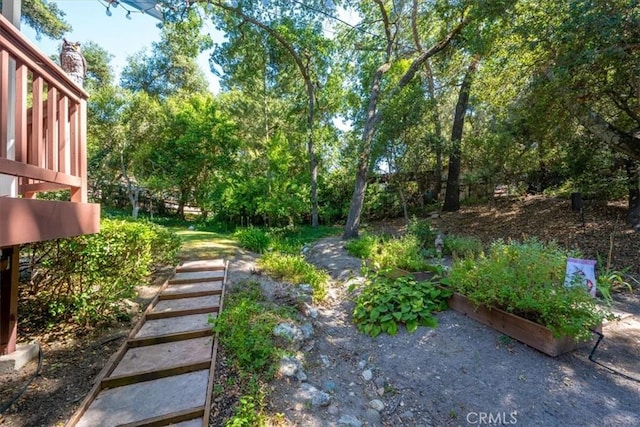 5375 Rosario Ave, Atascadero, CA 93422 - view of yard with stairs and a garden