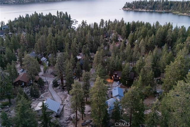38697 Talbot Dr, Big Bear Lake, CA 92315 - photo 72