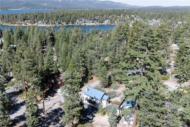 38697 Talbot Dr, Big Bear Lake, CA 92315 - photo 68