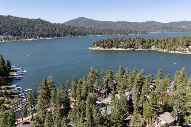 38697 Talbot Dr, Big Bear Lake, CA 92315 - photo 66