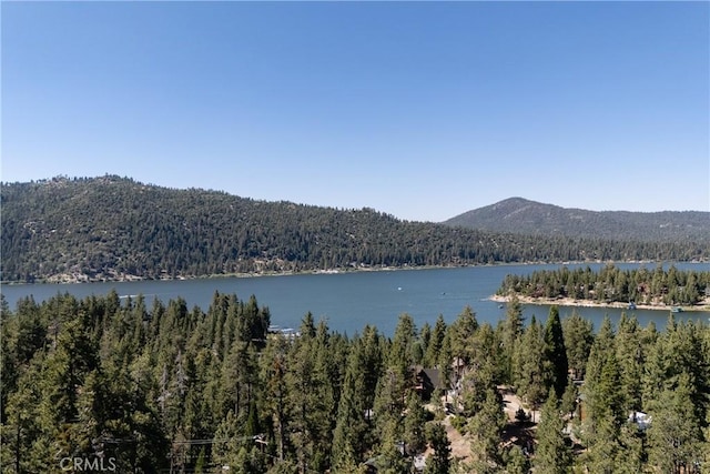 38697 Talbot Dr, Big Bear Lake, CA 92315 - photo 58