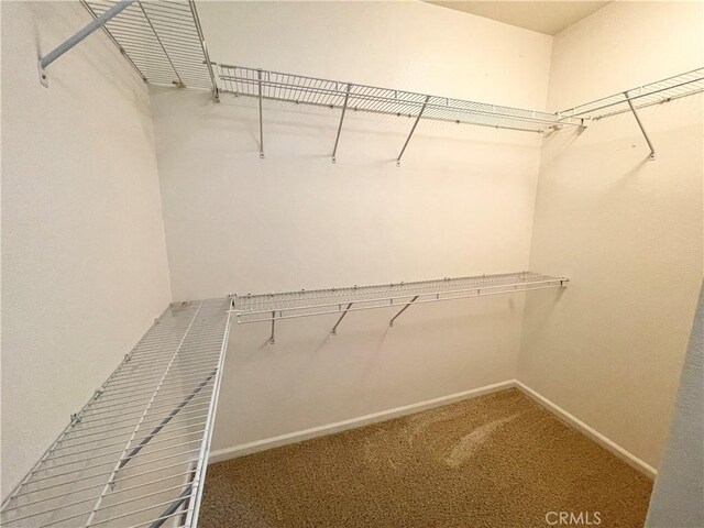 3803 Colma Ct, Merced, CA 95348 - walk in closet featuring carpet flooring