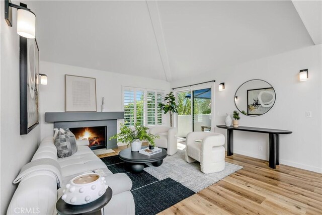 503 Morning Canyon Rd Unit 9, Corona Del Mar, CA 92625 - living room with wood finished floors and a fireplace with flush hearth