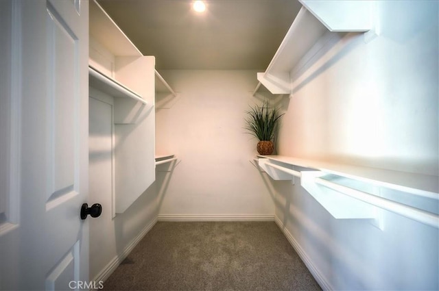 1375 N Euclid Ave, Upland, CA 91786 - walk in closet with carpet floors
