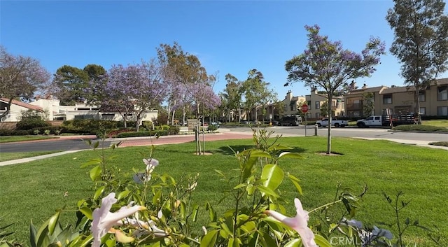 9 Morena Unit 28, Irvine, CA 92612 - view of property's community with a yard and a residential view