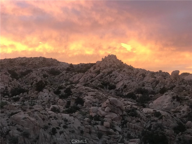 56564 Nelson Ave, Yucca Valley, CA 92284 - mountain view