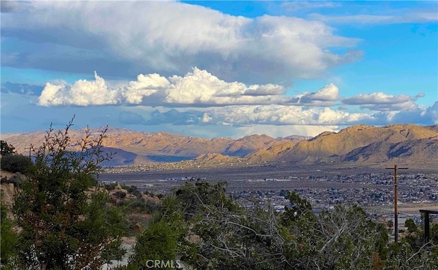 56564 Nelson Ave, Yucca Valley, CA 92284 - view of mountain background