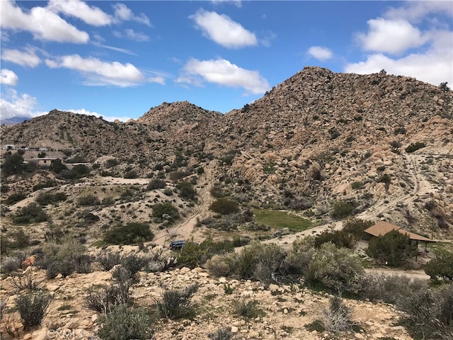 56564 Nelson Ave, Yucca Valley, CA 92284 - view of mountain background