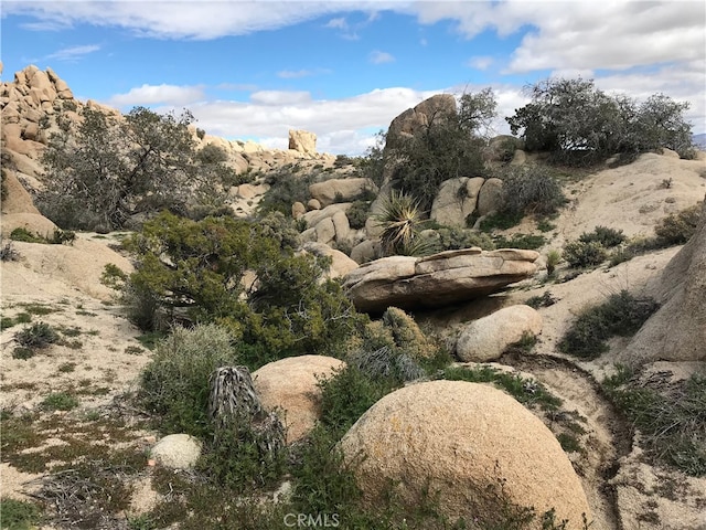 56564 Nelson Ave, Yucca Valley, CA 92284 - view of undeveloped land