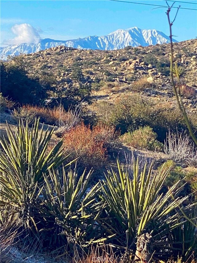 56564 Nelson Ave, Yucca Valley, CA 92284 - view of mountain backdrop