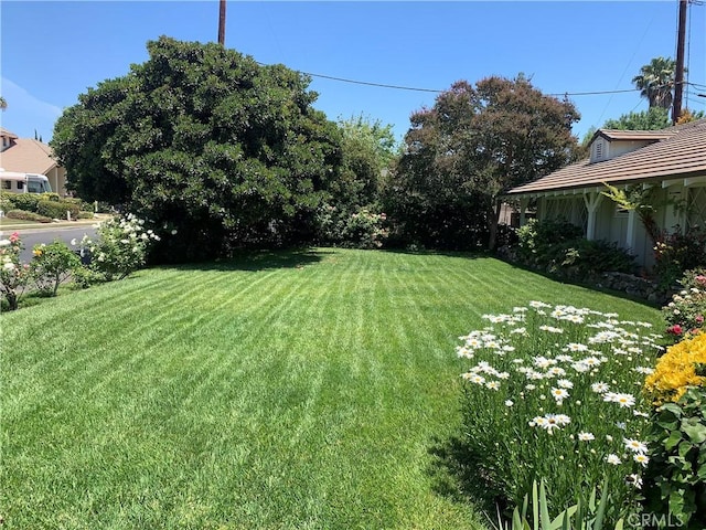 17654 Prairie St, Northridge, CA 91325 - view of grassy yard