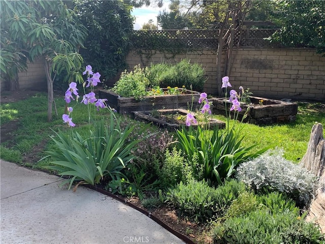 17654 Prairie St, Northridge, CA 91325 - view of yard with a vegetable garden