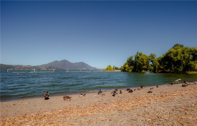 3556 Cypress St, Clearlake, CA 95422 - water view with mountains