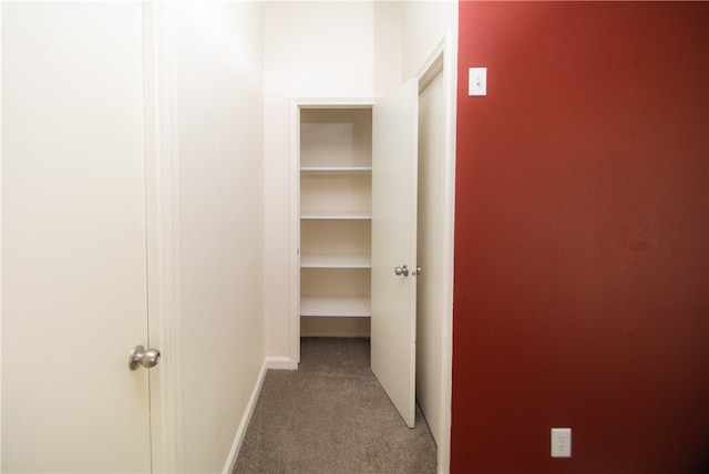 3556 Cypress St, Clearlake, CA 95422 - hallway with carpet floors and baseboards