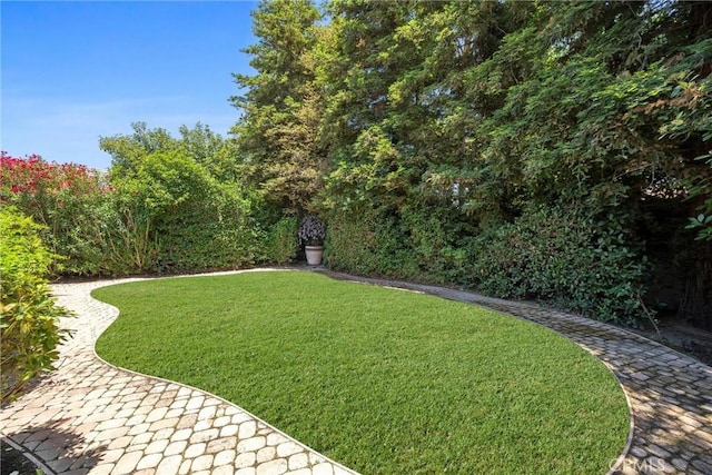 1806 Briercliff Ct, Bakersfield, CA 93311 - view of green lawn with a patio area