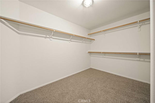40225 Watford Way, Palmdale, CA 93551 - spacious closet with carpet flooring