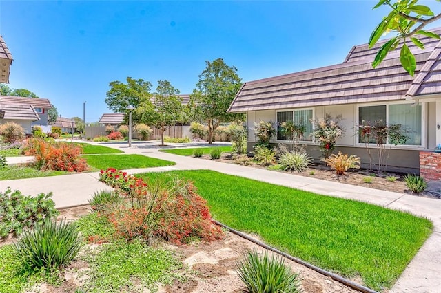 4785 Larwin Ave, Cypress, CA 90630 - view of grassy yard