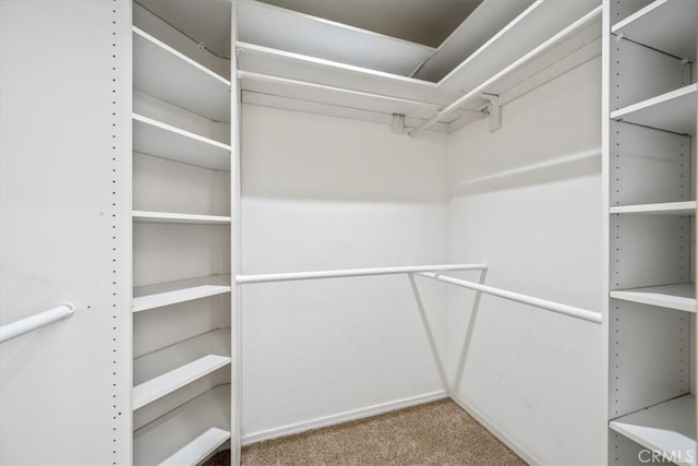 534 Misty View Way, Nipomo, CA 93444 - walk in closet with carpet