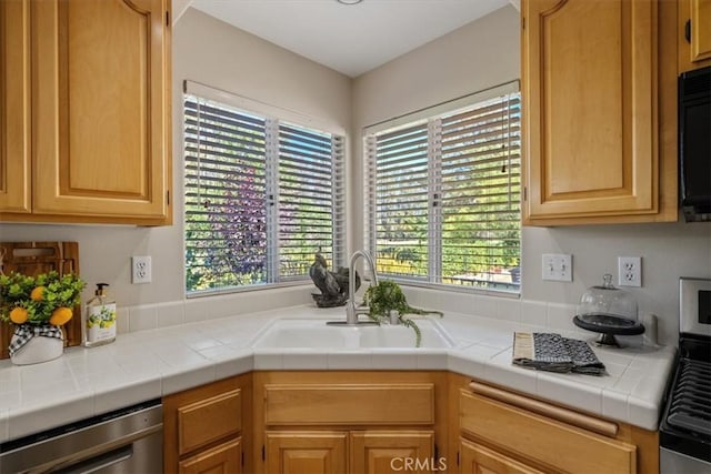 534 Misty View Way, Nipomo, CA 93444 - kitchen with dishwasher and healthy amount of natural light