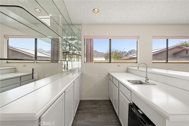43922 Warner Trl, Palm Desert, CA 92211 - kitchen featuring healthy amount of natural light, dark wood-style flooring, recessed lighting, a textured ceiling, and light countertops