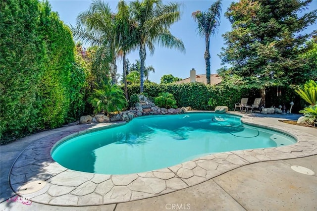 3208 Bridlewood Ct, Bakersfield, CA 93311 - view of swimming pool featuring a patio