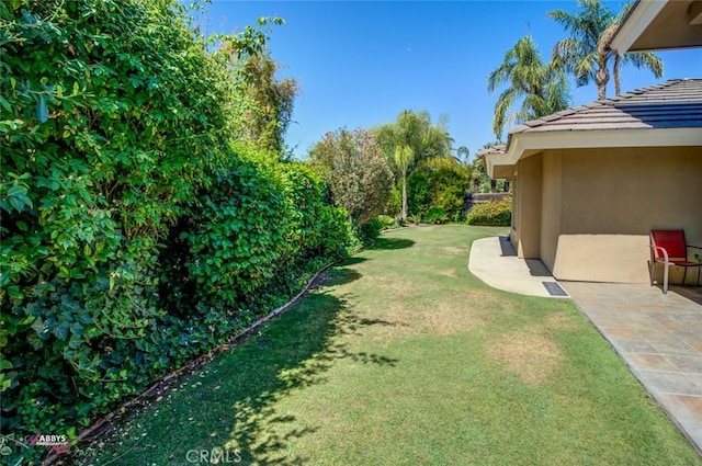 3208 Bridlewood Ct, Bakersfield, CA 93311 - view of green lawn with a patio