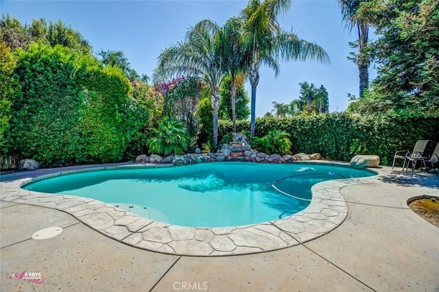 3208 Bridlewood Ct, Bakersfield, CA 93311 - view of swimming pool featuring a patio area