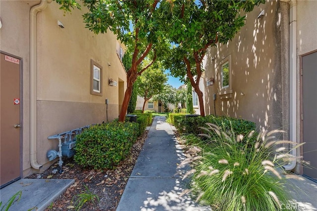 31186 Lavender Ct Unit 164, Temecula, CA 92592 - view of yard