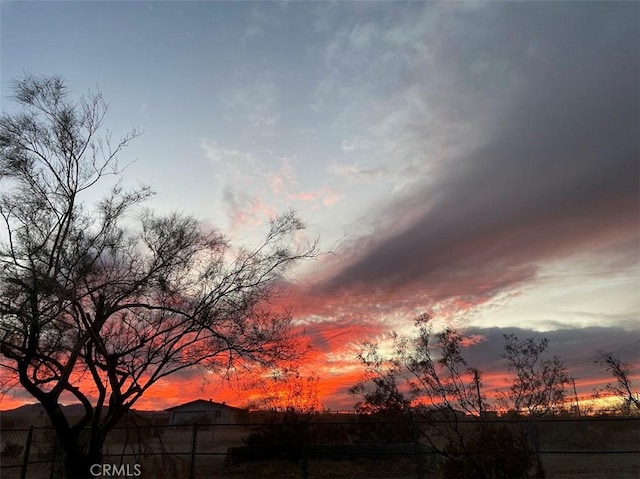 4675 Kickapoo Trl, Landers, CA 92285 - photo 14