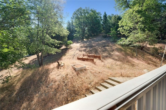 25389 Oak Glen Rd, Twin Peaks, CA 92391 - view of yard