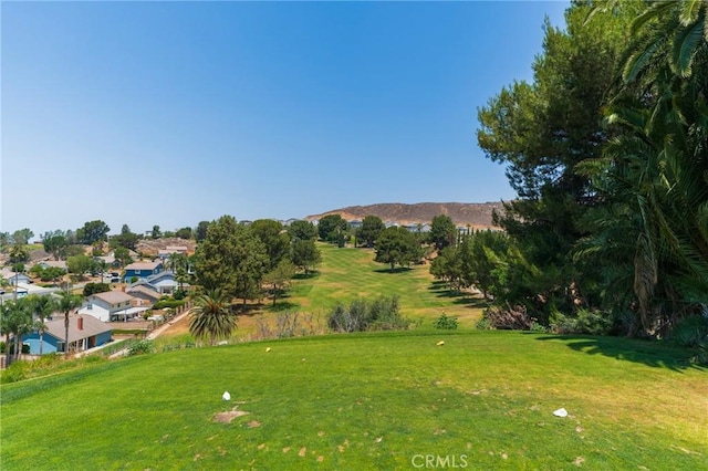 5681 Mapleview Dr, Jurupa Valley, CA 92509 - view of grassy yard featuring a residential view and a mountain view