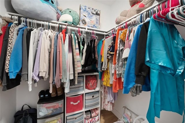 450 Pecan St, Arroyo Grande, CA 93420 - spacious closet with wood finished floors