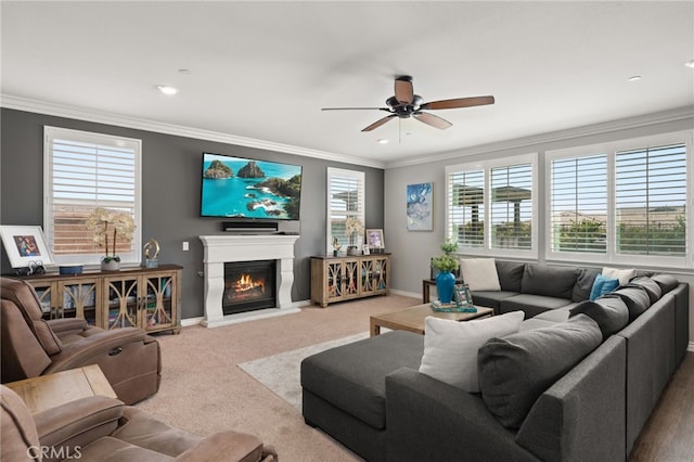 16671 Zest Ct, Riverside, CA 92503 - living room featuring a ceiling fan, crown molding, carpet floors, healthy amount of natural light, and a warm lit fireplace