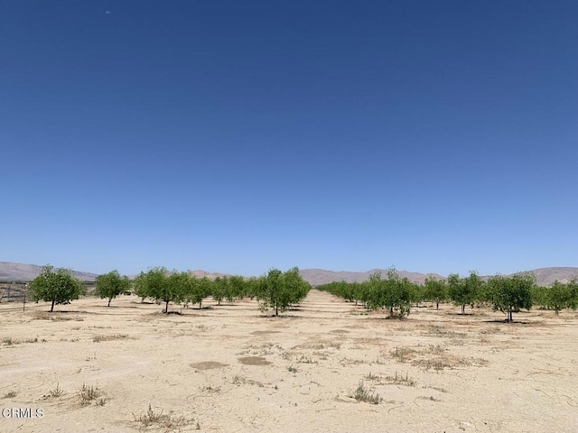 12500 Locust Ave, Lucerne Valley, CA 92356