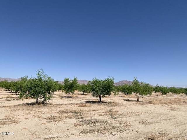 12500 Locust Ave, Lucerne Valley, CA 92356