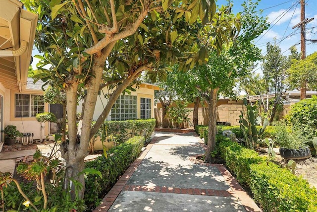 2045 W Clover Ave, Anaheim, CA 92801 - surrounding community with a patio area