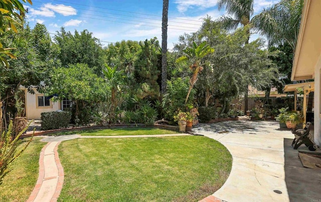 2045 W Clover Ave, Anaheim, CA 92801 - view of yard with a patio area