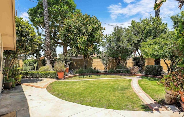 2045 W Clover Ave, Anaheim, CA 92801 - view of yard