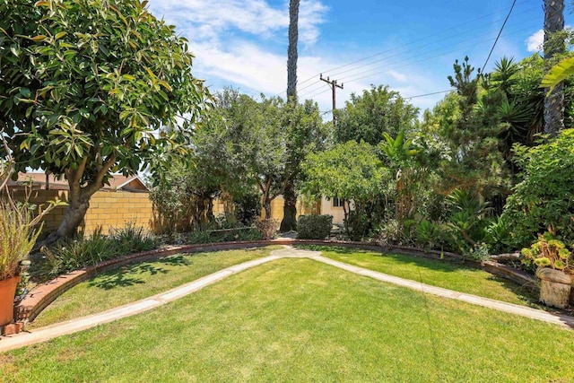 2045 W Clover Ave, Anaheim, CA 92801 - view of yard