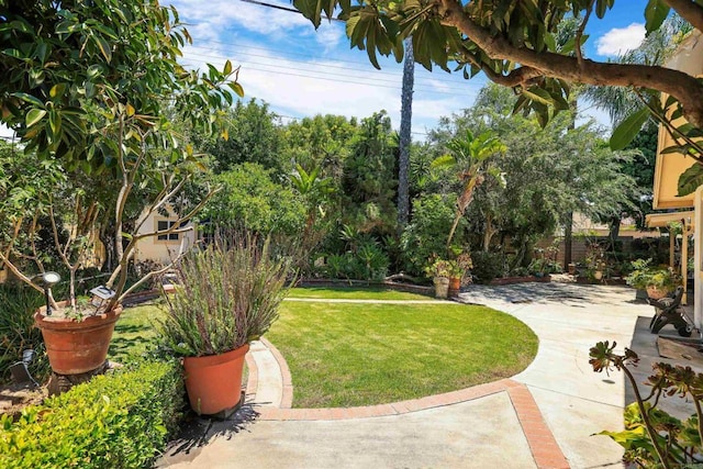2045 W Clover Ave, Anaheim, CA 92801 - view of yard with a patio area