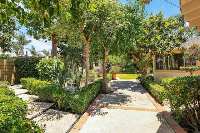 2045 W Clover Ave, Anaheim, CA 92801 - view of home's community featuring a patio