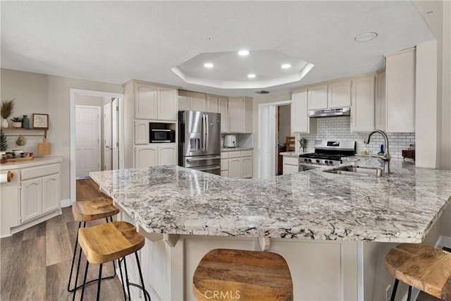 10325 Sheep Creek Rd, Phelan, CA 92371 - kitchen with appliances with stainless steel finishes, a peninsula, under cabinet range hood, dark wood-type flooring, and a raised ceiling
