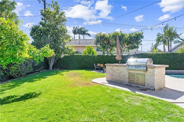 1780 N Mockingbird Pl, Orange, CA 92867 - view of yard featuring exterior kitchen and a patio