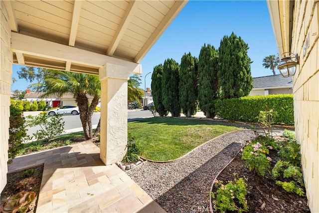 18701 Paseo Cortez, Irvine, CA 92603 - view of grassy yard
