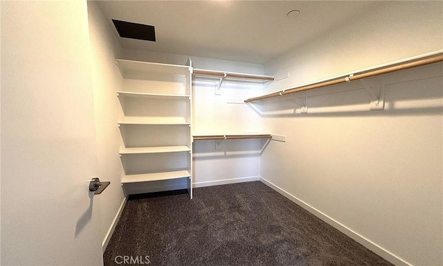 612 E Carson St Unit 303, Carson, CA 90745 - walk in closet with dark colored carpet