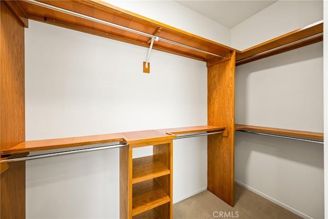 17 Marseille Way, Lake Forest, CA 92610 - walk in closet with carpet flooring