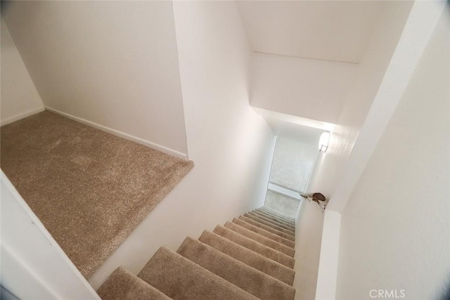 1369 Paseo Redondo, Burbank, CA 91501 - staircase featuring carpet flooring
